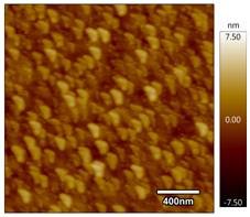 1388510366142607.jpg clip_image009.jpg